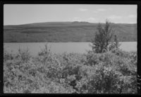 77. Krutådal, Grensegate Norge - Sverige. - no-nb digifoto 20151009 00004 NB MIT FNR 05097.jpg