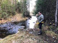 Kryssing av traktorvei i Dammyra.