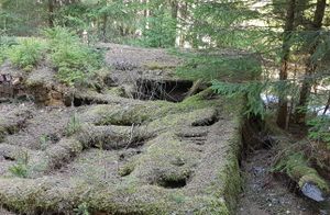 Kuskeplassen under Stømner ytre Kongsvinger kommune 2019.jpg