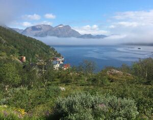 Kvalfjord privat.jpeg