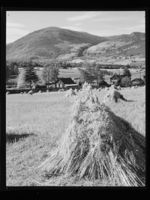 12. Kvam - no-nb digifoto 20150218 00194 NB MIT FNR 19228.jpg