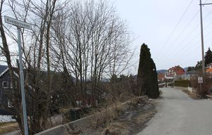 Kveldsroveien Drammen 2016.JPG