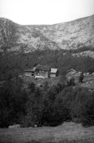 Kvipt-gjestegard-birtedalen-fyresdal-3-telemark.jpg