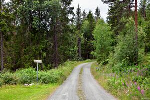 Kviteseid, Heivatnvegen-1.jpg