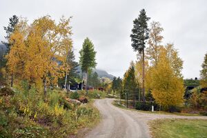 Kviteseid, Skreebekkvegen-1.jpg
