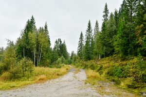 Kviteseid, Trytetjønnhottvegen-1.jpg