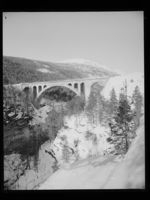 115. Kylling bro - no-nb digifoto 20150205 00093 NB MIT FNR 15743.jpg