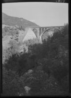 167. Kylling bro - no-nb digifoto 20151105 00050 NB MIT FNR 06429B.jpg