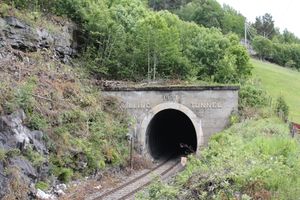 Kylling tunnel.jpg