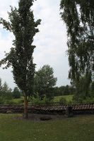 Kristoffer Nilsen Svartbækkens grav ligger for seg selv på nordsida av kirken. Foto: Chris Nyborg (2014).