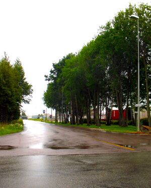 Løytnant Dons vei (Øra, Fredrikstad) 2015.jpg