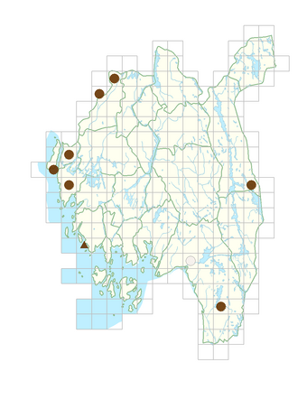 Laburnum alpinum.png