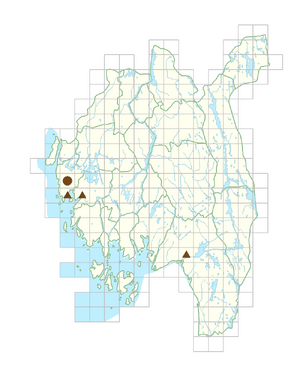 Lamiastrum galeobdolon subsp. argentatum.png