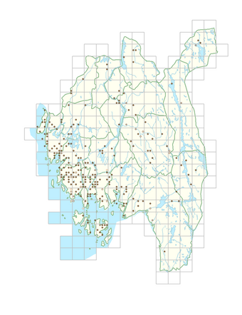 Lamium hybridum 1.png