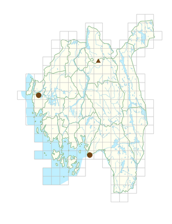 Lamium maculatum.png