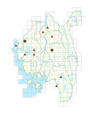 Lamprocapnos spectabilis.png