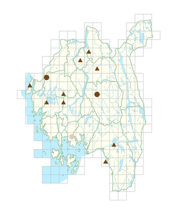 Lamprocapnos spectabilis.png