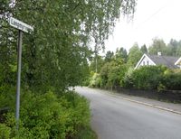 Parti fra Langmyrveien. Foto: Stig Rune Pedersen (2014).