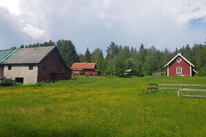 Langtjern (Kongsvinger gnr. 1 27) 2021.jpg