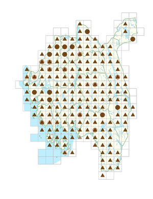 Lapsana communis.png