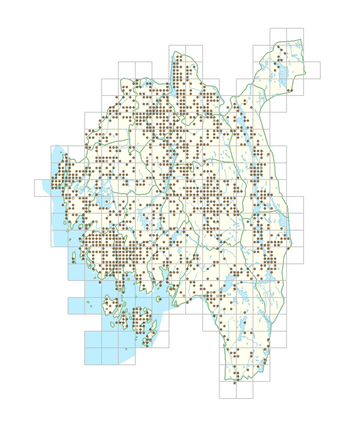 Lapsana communis 1.png