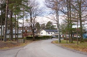 Larvik, Bergeskogen-1.jpg