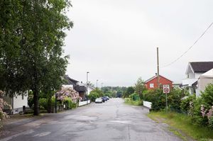 Larvik, Frøyhovveien-1.jpg