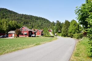 Larvik, Hanevalsvevet-1.jpg