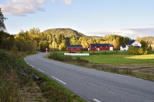 Larvik, Liveien-1.jpg