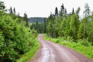 Larvik, Mattiaskilen-1.jpg