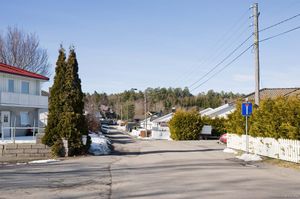 Larvik, Nordliskrenten-1.jpg