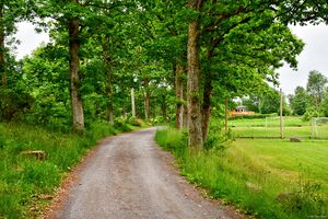 Larvik, Nordre Tjøstolfvika-1.jpg