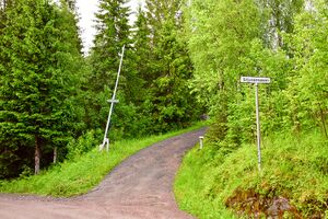 Larvik, Siljuvannsåsen-1.jpg