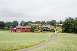 Larvik, Skjeggestad-1.jpg