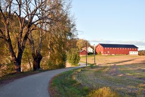 Larvik, Tanumgrenda-1.jpg