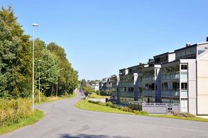 Larvik, Thor Heyerdahls gate-1.jpg