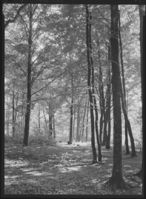 186. Larvik - no-nb digifoto 20151126 00249 NB MIT FNR 13909.jpg