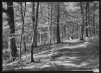 178. Larvik - no-nb digifoto 20151126 00258 NB MIT FNR 13907.jpg