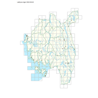 Lathyrus niger 1.png