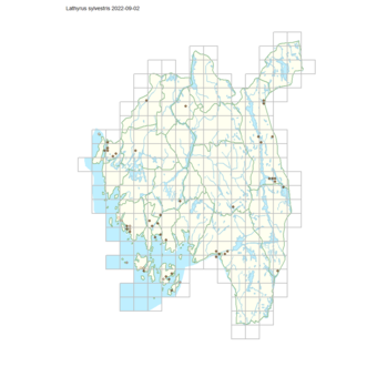 Lathyrus sylvestris 1.png
