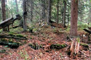 Lauparen (Modum, boplass).jpg