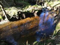 18. Lauvås- vaskekulp.jpeg