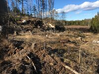 21. Lauvås fra sør.jpeg