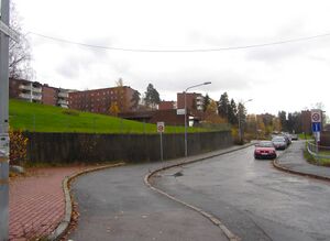 Lavrans vei Oslo 2013.jpg