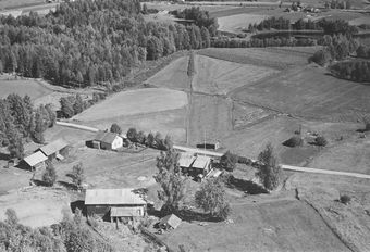 Leiråsen under Sæter nordre gnr 56 bnr. 25 og 17 Kongsvinger 1956.jpg