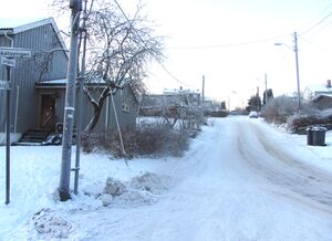 Leirskallen Oslo 2014.jpg