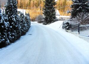 Leirskallhellinga Oslo 2014.jpg