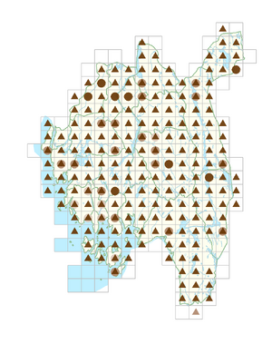 Lepidotheca suaveolens.png