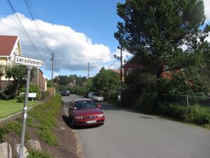 Lersolveien Oslo 2013.jpg