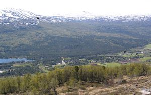 Lesjaskog - Mølmshaugen.jpg